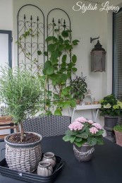 begrünter Balkon