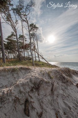 Weststrand auf dem Darß
