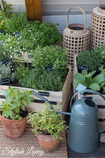 Hier ein kleiner Einblick in unseren offenen Wohnbereich mit Küche