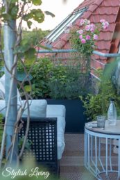 Dachterrasse gestalten mit Pflanzen und Outdoorsofas für die Gemütlichkeit
