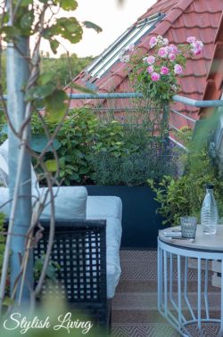 Dachterrasse gestalten mit Pflanzen und Outdoorsofas für die Gemütlichkeit
