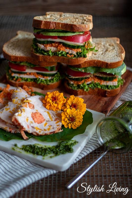 Picknick mit saftigem Hähnchenbrust Sandwich [Werbung] - Stylish Living