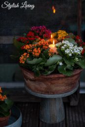 DIY Windlicht Kalanchoe.nl Garden