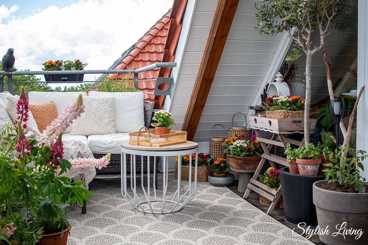 Frühlingserwachen auf dem Balkon mit der Kalanchoe.nl Garden